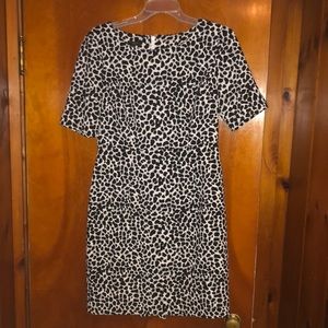Leopard Print Dress | Talbots | 8 Petite